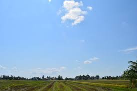 Pemandangan sawah padi di kedah pemandanganoce sumber pemandanganoce.blogspot.com. Pengalaman Bercuti Ala Kampung Di Sekinchan Nikmati Suasana Kampung Dengan Berlatarbelakangkan Pemandangan Sawah Padi Di Sekinchan Sekinchan Pemandangan Malam