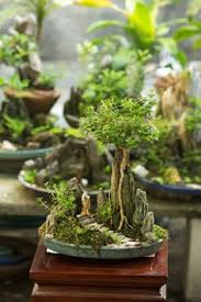 Maybe you would like to learn more about one of these? 170 Idee Su Giardino Di Piante Grasse Giardino Di Piante Grasse Piante Giardino
