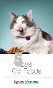 Top 5 Best Cat Foods Cat Food Best Cat Food Cat Food Brands