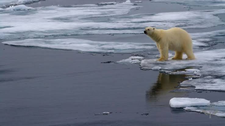 Extinction | Definition & Examples | Britannica