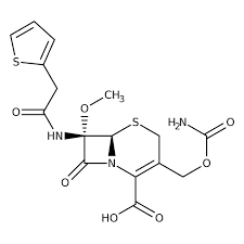 Image result for Cefoxitin