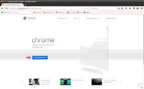 Open google's play store on your chromebook. Instalar Chrome En Linux Exportando De Windows 10 Solvetic