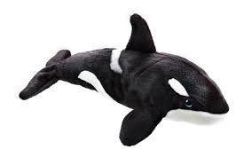 Entdecken sie jetzt unsere besonderen kuscheltiere! Bresser National Geographic Plush Toy Orca Expand Your Horizon
