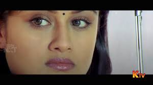 7G Rainbow Colony Iconic Scene