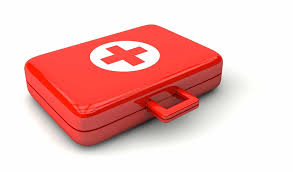 How to build a first aid kit for camping and hiking: How To Build Your Own Pet First Aid Kit Anasazi Animal Clinic