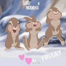 We did not find results for: Good Morning Friday Gifs Tenor