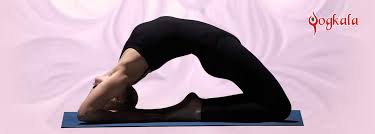 Yogkala Learn Different Poses And Benefits Of Yoga