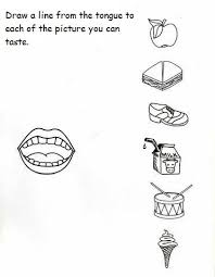 5 Senses Worksheet For Kids 2 Crafts And Worksheets For Preschool Toddler And Kind Senses Preschool Kindergarten Worksheets Printable Five Senses Worksheet