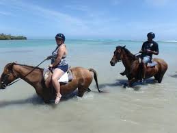 Women have a certain predilection for crocheted swimwear. Be Sure To Wear Water Shoes Picture Of Justours Jamaica Horseback Ride N Swim Tour Tripadvisor