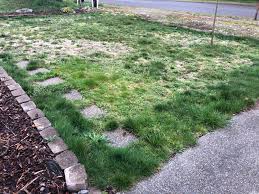 There are lots of tutorials online on how to make your own pond, like this one: Just Bought My First House What Can I Do To Fix The Front Yard On A Budget Landscaping