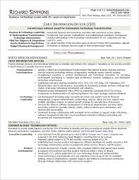 executive resume samples professional