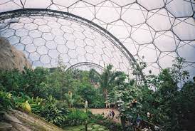 Eden project is part of the google arts and culture's gardens united project. Eden Project Morris Hargreaves Mcintyre