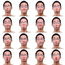 Pokerface app fun take downs to free. Asian Poker Face Unmasking The Emotions Of Paper Tigers Facial Expressions Drawing Face Expressions Face