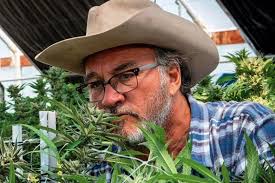 There Will Be No Blues Brothers Convention This Year, Tragically, But I'll  Always Have My Golden Memories of Last Year's Celebration — It Turns Out  the Naming Rights! Membership Option Was For