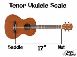 Grey gloss kitchen units uke strings tuning. Tenor Ukulele Tuning High G Low G Easy Coolukulele Com