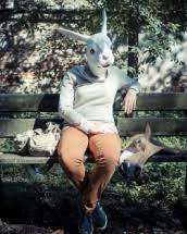 Poate reprezenta si o noua atitudine, un nou inceput sau un eveniment major. Ce Inseamna Cand Visezi Iepuri