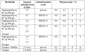 Image result for Echinochloa brevipedicellata