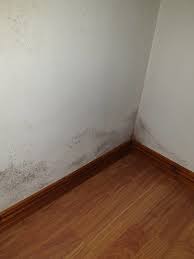 Image result for site:byggahus.se vilkenfärg