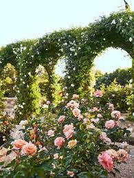 Gonia U Gcheminiak Profil Pinterest