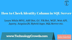 Identity Column How To Check Identity Column In Sql Server Sql Server Web Api Sql