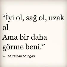 Quotes Panosundaki Pin