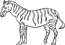 Here you could find a quick set of instructions, and in no time you could start colouring pages Printable Pictures Of Zebras Coloring Home