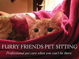 Although most pet owners will more than willingly pay for their pet's wellness, whatever the cost, it can create a pretty severe financial strain without a doubt. Furry Friends Pet Sitting Llc