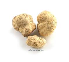 White Truffle 100g Market Price Princesse D Isenbourg Caviar Champagne Foie Gras Truffles And Other Fine Products