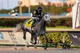 524 likes · 36 talking about this. Knicks Go Wins Pegasus World Cup Colonel Liam Takes Turf America S Best Racing