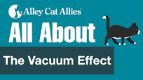 All About The Vacuum Effect