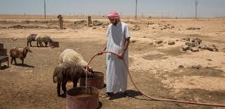 Resultado de imagen para Addressing Forced Displacement through Development