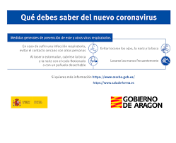 It was first identified in december 2019 in wuhan,. Recomendaciones Sobre El Coronavirus Ayuntamiento De Zaragoza