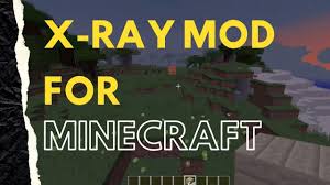 The great thing is that it's compatible with forge, optifine, and rei's minimap as well. Download X Ray Mod For Minecraft 1 16 5 1 14 4 1 7 10