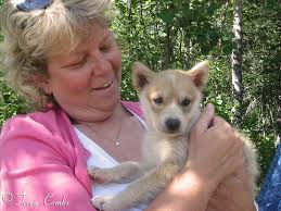 John's ARR trip 2014