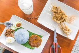 I came not to prevent (the project), i came to listen to the explanation from all parties including the developing company and i have read the memorandum the psr project was proposed to create a land bank to finance the penang ptmp project. Projek Nasi Lemak New Menu Sambal Terung Bawang Goreng Crisp Of Life