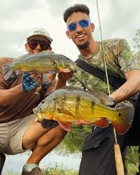 What coming to the beach with me looks like 😎🤙🏼 #fishing #fish  #fishinglife #nature #sea #outdoors #bassfishing #catchandrelease #pesca  #photography #hunting #flyfishing #fisherman #travel #bass #fishingtrip  #angler #ocean #like #boat #beach #tarpon #