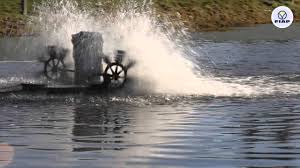 Speziell für den einsatz auf dem meer eignen sich die vbe solarlüfter mit entsprechender edelstahlabdeckung. Fiap Profiair Oxytwist Schaufelradbelufter Fiap Profiair Oxytwist Paddle Wheel Aerator Youtube