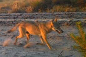 Yotta marisol porn she is a noteworthy milf who gives a