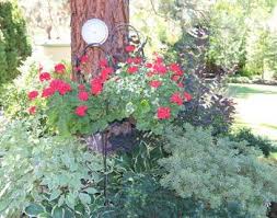 Home, garden, magazines, amateur gardening, country living. Home Garden And Landscape