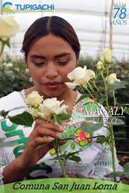 GAD Parroquial Tupigachi