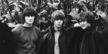 Roger McGuinn