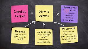 Image result for Cardiac Output