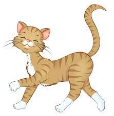 pin na doske cartoon katzen