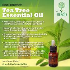 Tea tree oil contains a lot of antimicrobial properties and these contents fight against hair loss and dandruff. Tea Tree Essential Oil Perfect Ingredient For Skin Hair Treeactiv