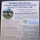 Healing with Horses: Animal Assisted Play Therapy event image