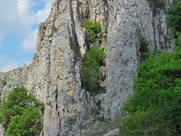 Distanta aproximativa de stana de vale ~ 9 km. Distanta Oradea Stana De Vale Motocultoare Oradea