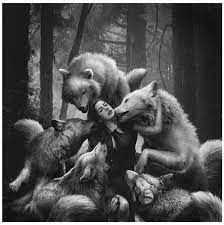 Wolf Love Woman With Wolf Pinterest Wolves And Love Lobisomens Animais Espirito De Lobo