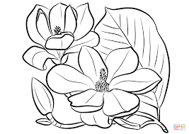 Floral coloring book page for adults and children. Pin On Images Personal Use Public Domain