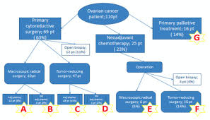Ovarian cancer treatment stage 4. Quality Indicators And Survival Outcome In Stage Iiib Ivb Epithelial Ovarian Cancer Treated At A Single Institution In Vivo