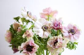 Flowers by semia is a retail company based out of 5 george waterman rd, johnston, rhode island, united states. A New Flower Market Is Opening In Providence Rhode Island Monthly